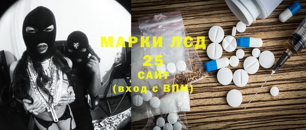 прущие грибы Нея