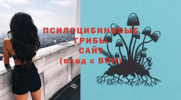 мяу мяу мука Абдулино