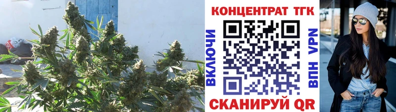 Дистиллят ТГК THC oil Зеленогорск