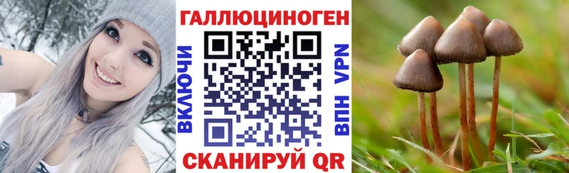 Галлюциногенные грибы мухоморы  это Telegram  Зеленогорск 